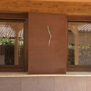 Jedacon ventanas